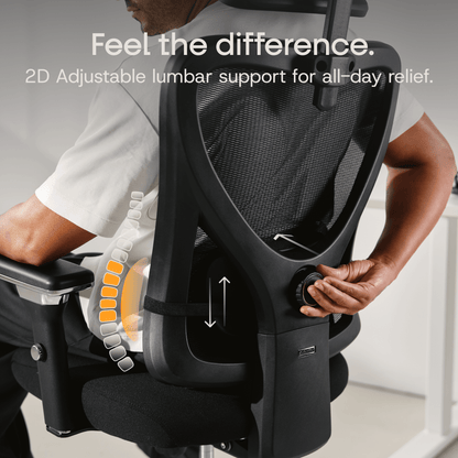 CLOUVOU CleverSeat - Best selling ergonomic office chair - Clouvou Schwarz